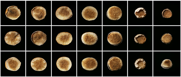 Dave Kennedy, Straights, Fags, Squares, Gaspars, Dugans, Jacks and Kools, C print, 2011, Courtesy of the artist