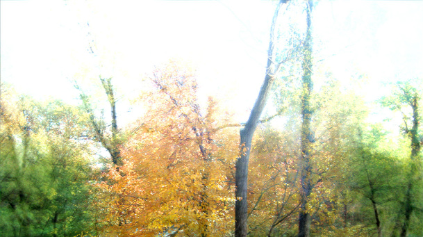 Yr (For seasons), Video Still ©2012 Thom Heileson, Photo: Courtesy of the artist