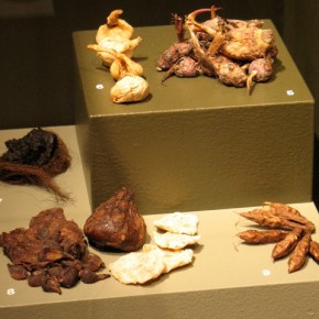 Heritage Collections Care Funding - workshop added Heritage Collections Care Funding - workshop added