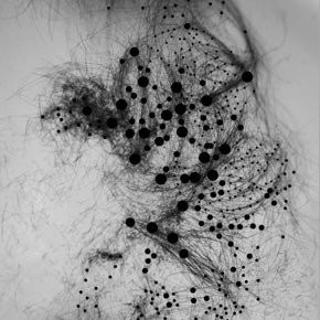 Genevieve Tremblay Artist Project: Data Driven Portraits Genevieve Tremblay Artist Project: Data Driven Portraits