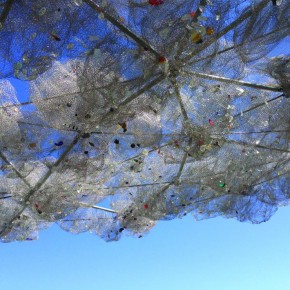 Confetti Cloud at Bow Lake Transfer Station Confetti Cloud at Bow Lake Transfer Station