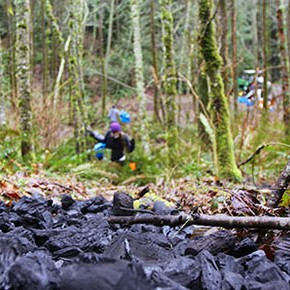 Experience Cougar Mountain’s Black Forest on March 15 Experience Cougar Mountain’s Black Forest on March 15