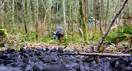 Experience Cougar Mountain’s Black Forest on March 15 Experience Cougar Mountain’s Black Forest on March 15