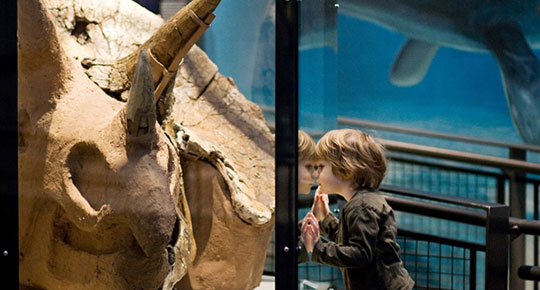 Museums added to Map 4Culture Museums added to Map 4Culture