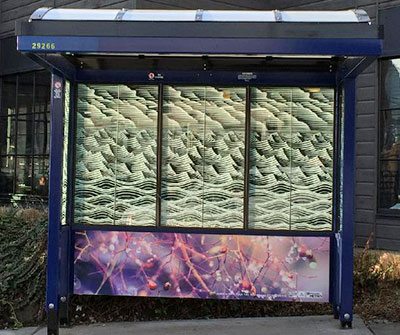 © 2012 Martin Olynyk, Natural Galaxy, Photograhic Artworks on Bus Shelters. Photo Courtesy of Youth In Focus, Photo Center NW, Metro Facilities & the Metro Bus Shelter Mural Project.