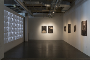 Steven Miller, Les Fleurs de Male, Gallery4Culture 2014. Photo courtesy of the artist.