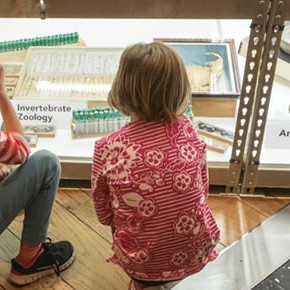 Applications Open for Heritage Projects Applications Open for Heritage Projects