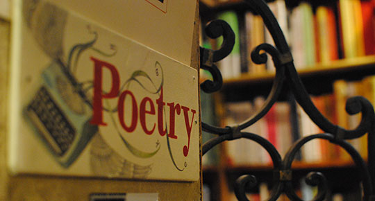 A Sanctuary of Words A Sanctuary of Words