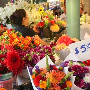 Flower Farmers - The Story of the Hmong Flower Farmers - The Story of the Hmong