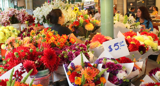 Flower Farmers - The Story of the Hmong Flower Farmers - The Story of the Hmong