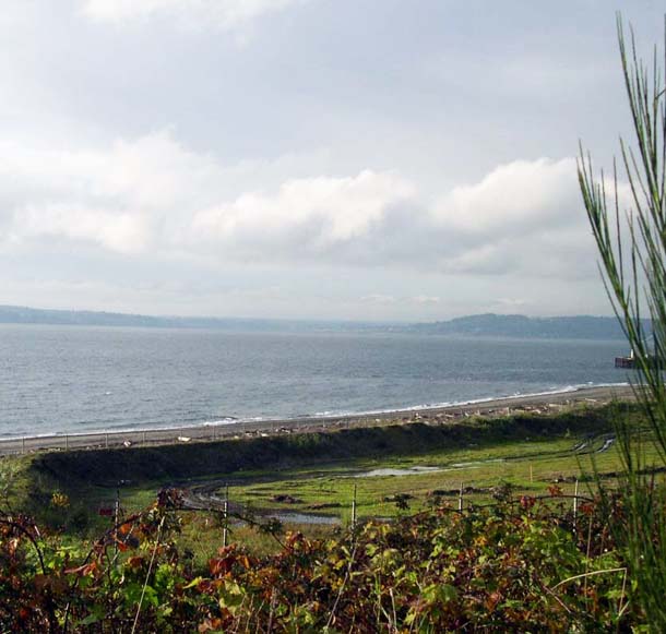 Brightwater Conveyance Outfall, 2011