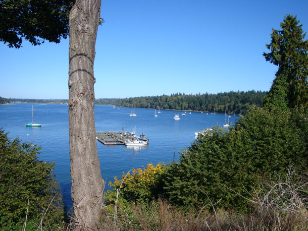 Dockton, Maury Island © 2010, photos by 4Culture staff