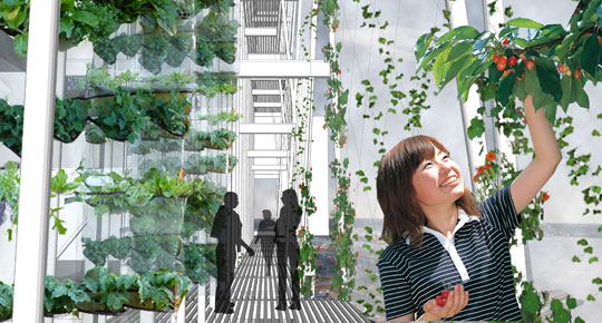 Integrated Urban Agriculture, photo by Heather Ruszczyk