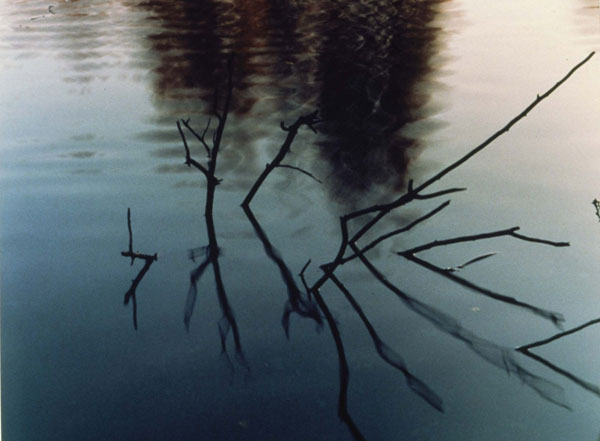 Twin Ponds Park October 23, 1983 © Johsel Namkung 1983, Courtesy of the artist’s estate