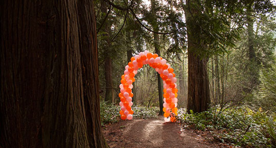 © 2013 Andy Arkley & Courtney Barnebey, Balloon Arch, Seward Park, mixed media. Photo courtesy of the artist.