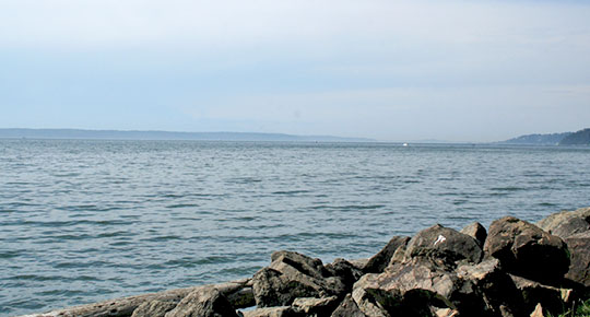 Saltwater State Park, Photo by infinitelypie, Flickr, https://www.flickr.com/photos/infinite-pie/