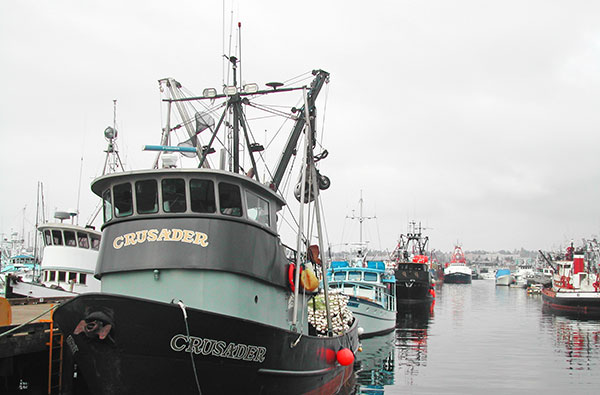 Fisherman's Terminal © 2004 4Culture