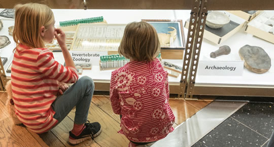 Young visitors to 'Imagine That' exhibit, Burke Museum, Seattle © 2014 Kiest Photography