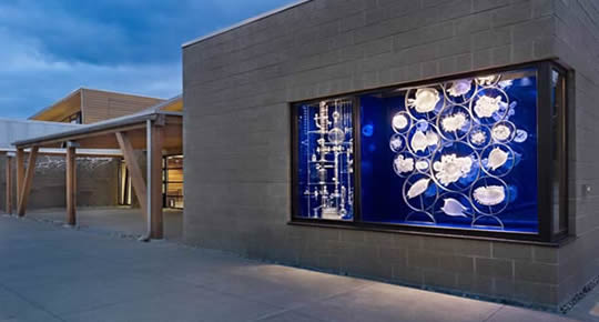 © Ellen Sollod, Collection and Transformation, 2011, Laboratory glass, blown glass, mirrored glass, steel. Photo by Benjamin Benschneider