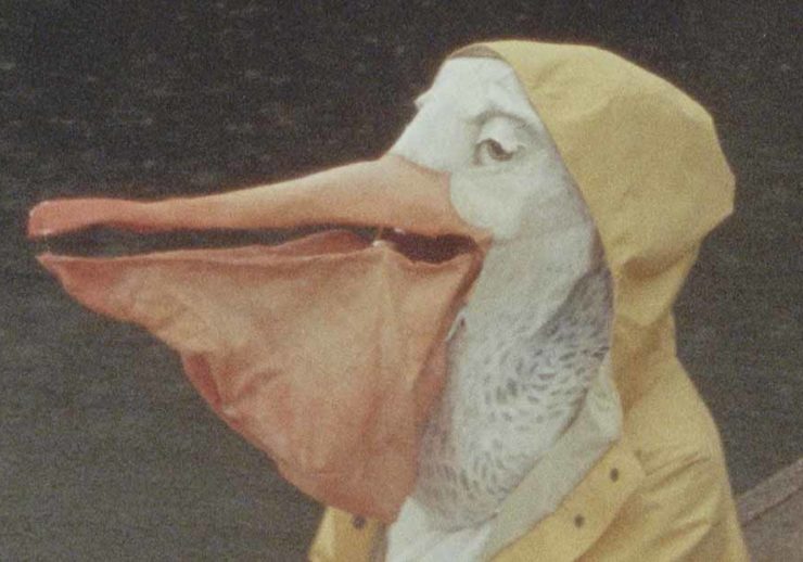 A pelican wears a yellow rain coat and stares out past the end of the frame. There is a deep grey background.