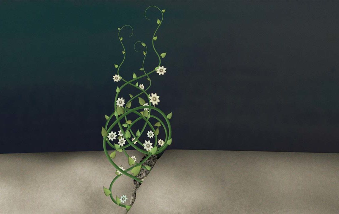 Featured image for Aubrey Nehring