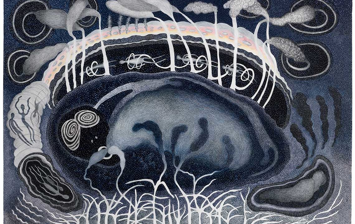 Featured image for Ann Leda Shapiro