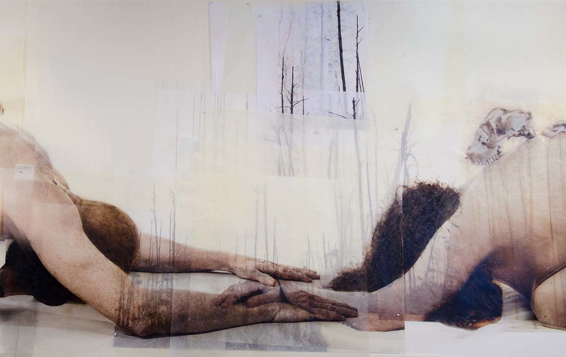 Featured image for Nichole DeMent