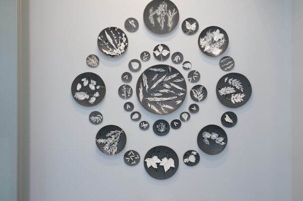 Wall display of circular black plaques with white botanical illustrations arranged in a radial pattern above a pile of light-colored rocks on a curved concrete platform.