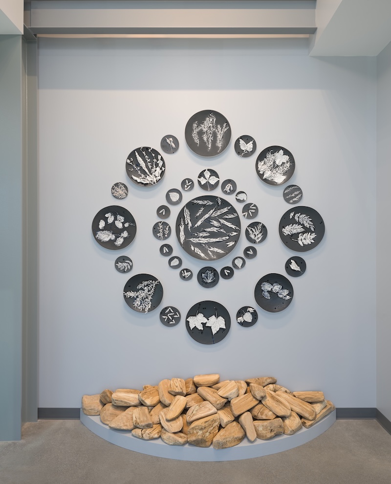 Wall display of circular black plaques with white botanical illustrations arranged in a radial pattern above a pile of light-colored rocks on a curved concrete platform.