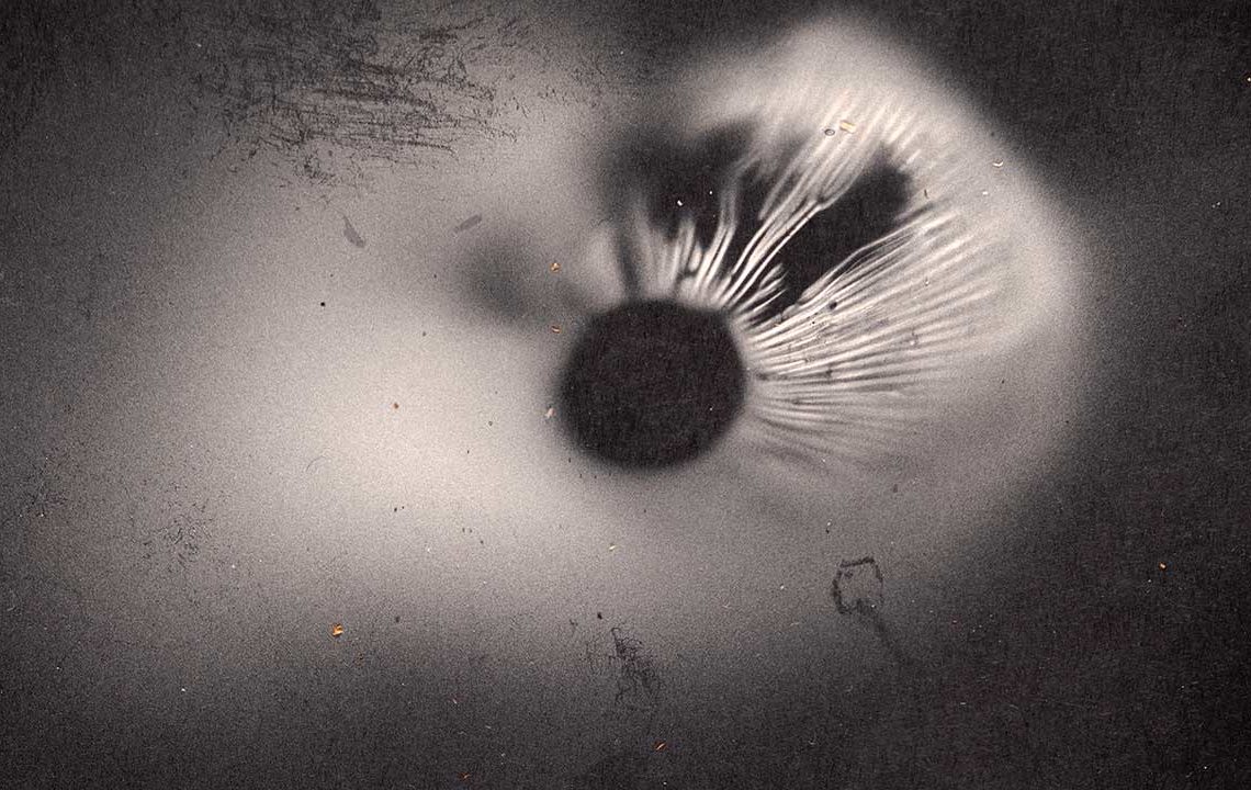 Featured image for Rebecca Cummins