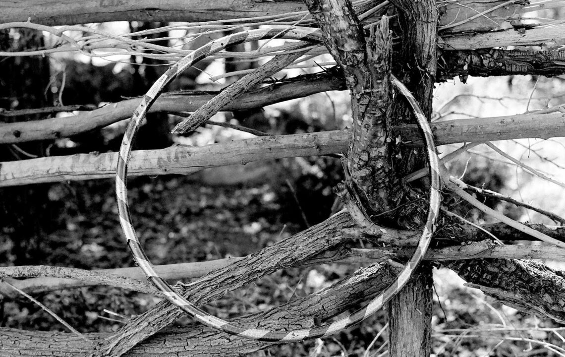 Featured image for Tyna Ontko