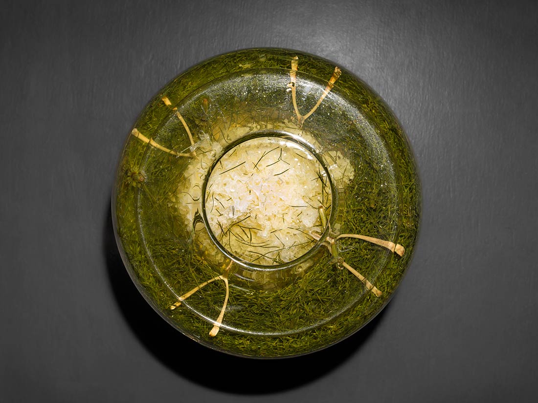A top-down view of a glass bowl containing white shredded food, possibly cheese or coconut, surrounded by a liquid with green herbs, all placed on a dark gray surface.