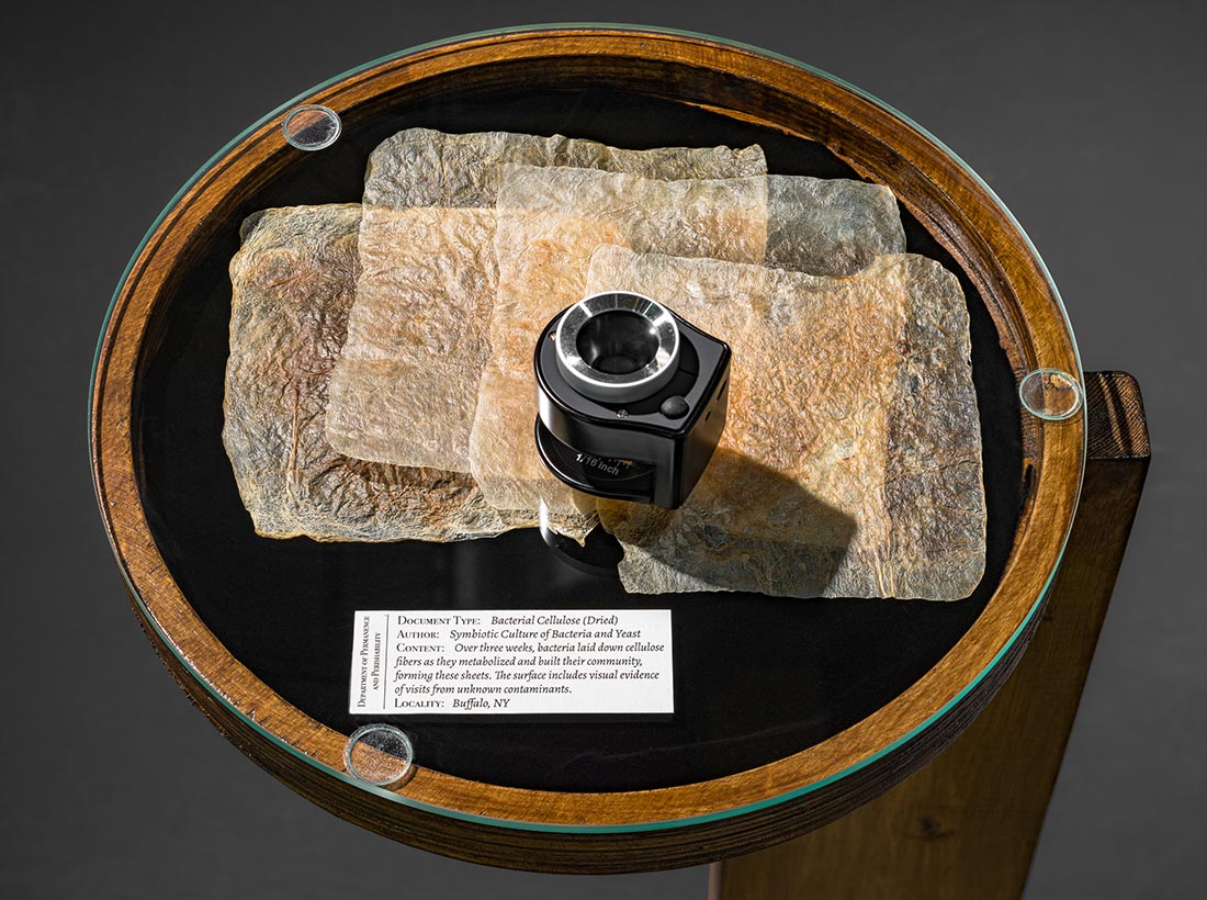 A display case with translucent sheets of bacterial cellulose and a magnifier on top. A label describes the items as Bacterial Cellulose (Pedia) with details about their creators and location.