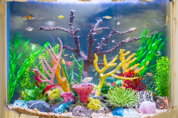 A colorful aquarium with various small fish, vibrant artificial plants, coral decorations, rocks, and shells, all inside a rectangular tank with a wooden frame.