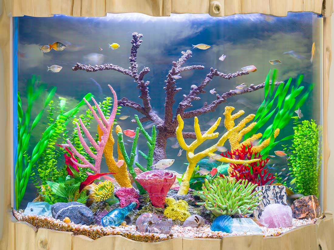 A colorful aquarium with various small fish, vibrant artificial plants, coral decorations, rocks, and shells, all inside a rectangular tank with a wooden frame.