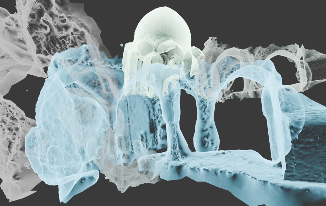 Featured image for Sadaf Sadri