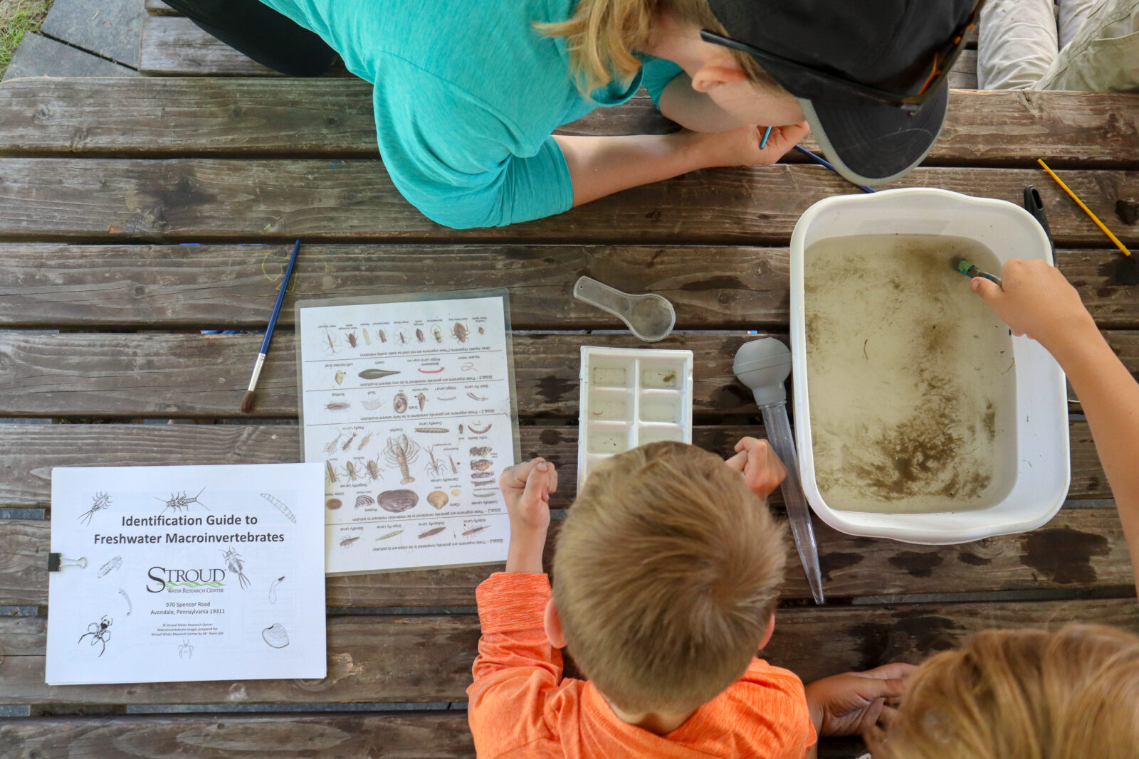 Three children examine a tub of pond water on a wooden table, using a guide to freshwater macroinvertebrates with illustrations. There are tools, a plastic tray with compartments, and a magnifying glass nearby.