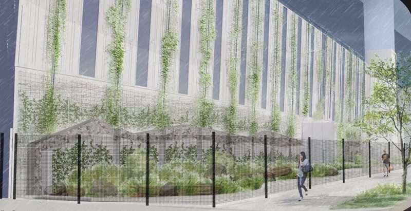 A modern building with tall windows has green vines growing up the walls. A fenced garden with shrubs is in front, and two people walk on a nearby sidewalk. It appears to be a rainy day.